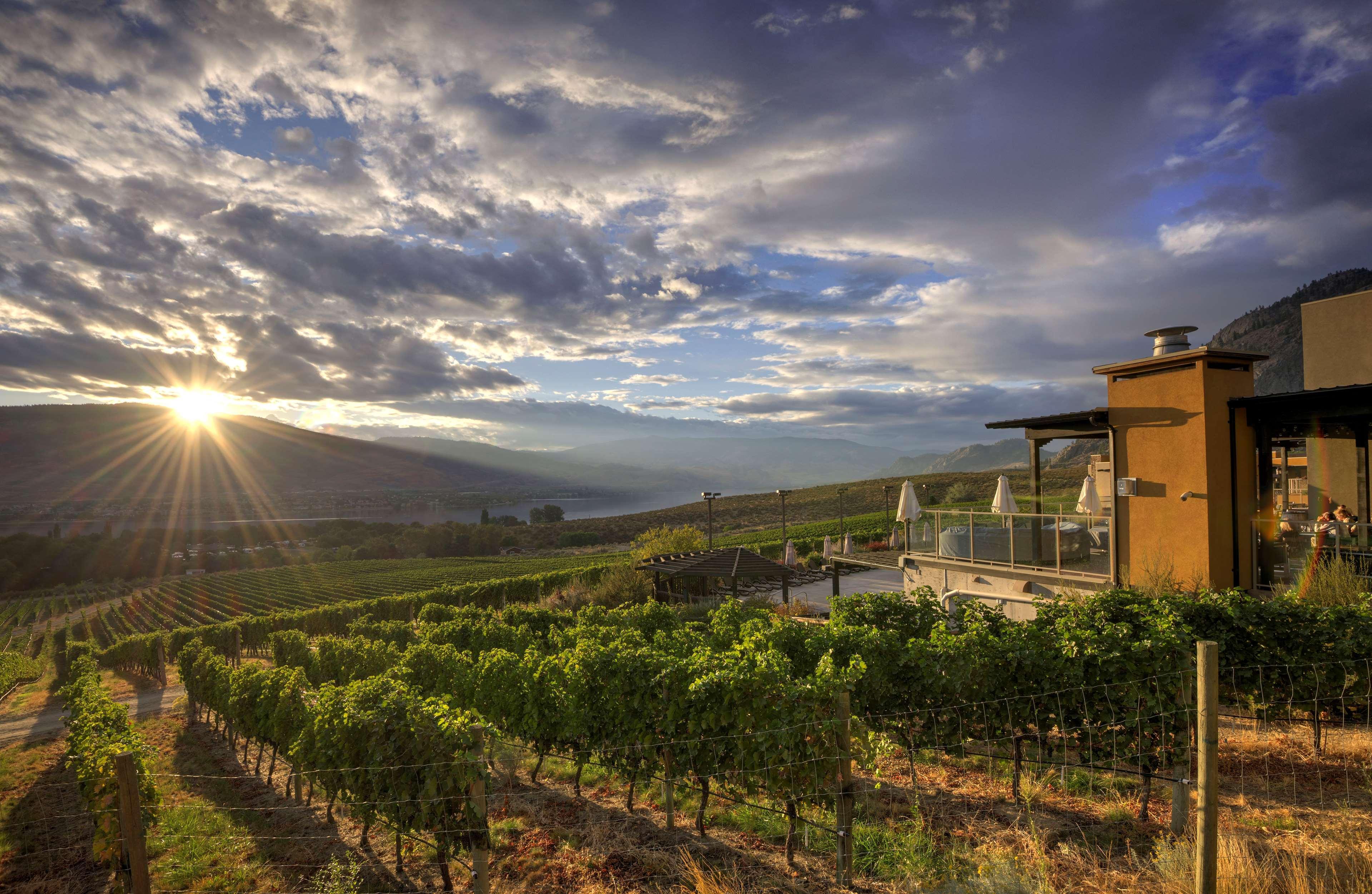 Spirit Ridge, In The Unbound Collection By Hyatt Hotel Osoyoos Bagian luar foto